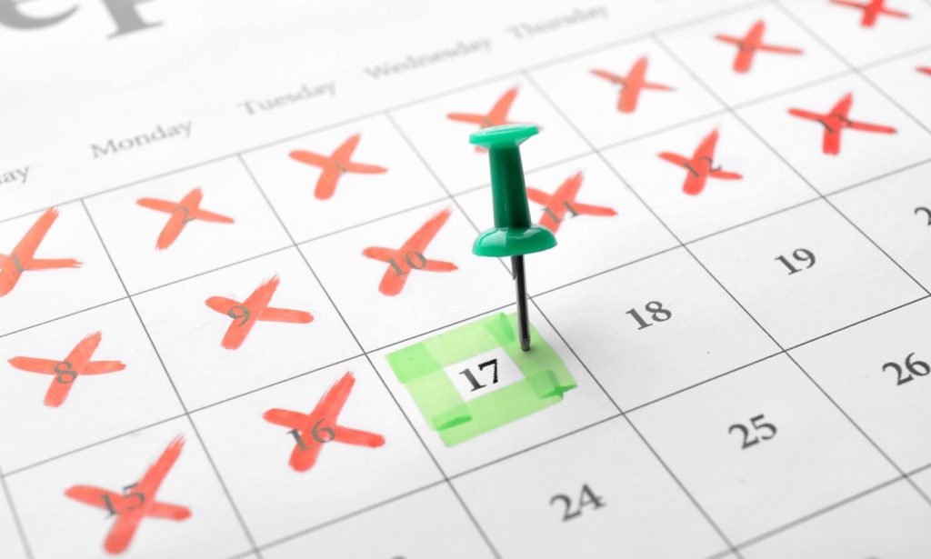 審査期間の目安